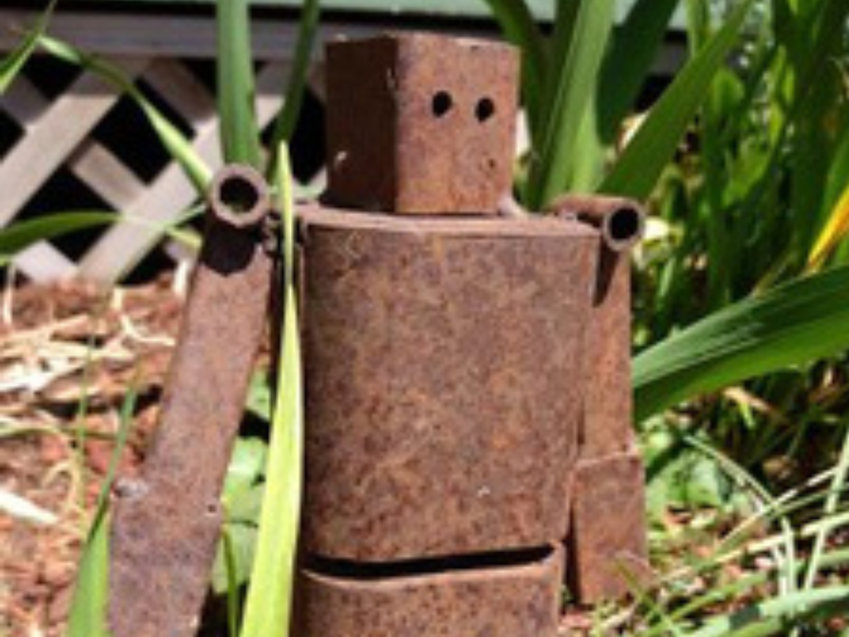 Garden & Wildlife